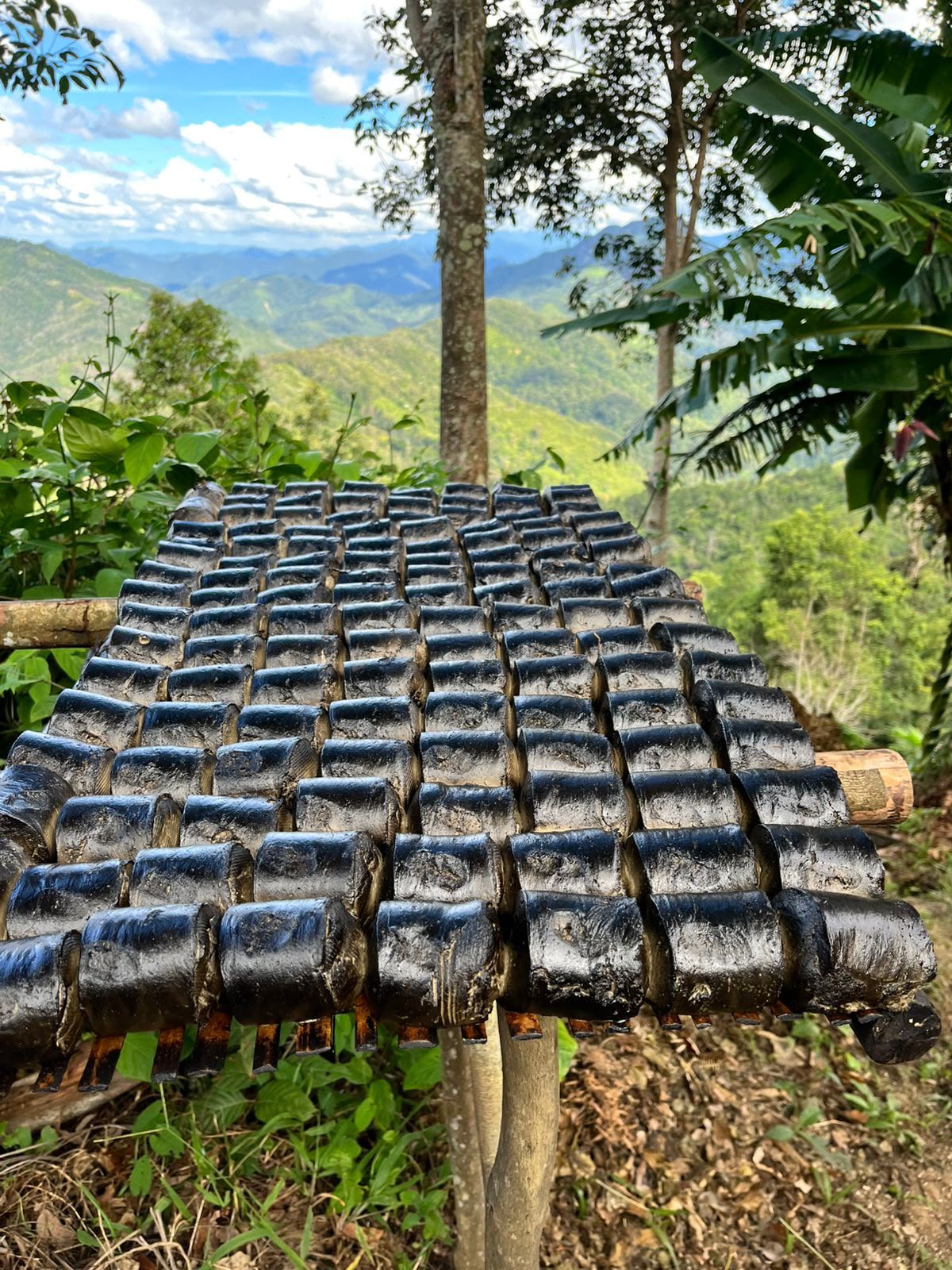Rempah Sumatera